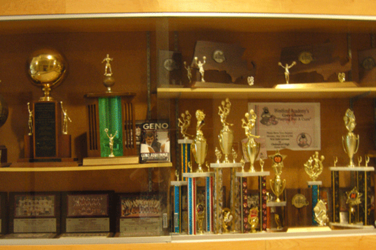 An elaborate variety of trophies and plaques displayed together along the Athletic Walk of Fame.
