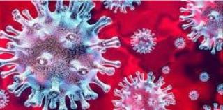 picture of Coronavirus